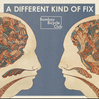How Can You Swallow So Much Sleep_Bombay Bicycle Club