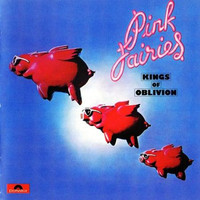 City Kids_Pink Fairies