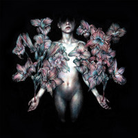 The Sound Of Us_A Lot Like Birds