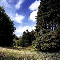 Dead Trees And Traffic Islands_Manic Street Preachers