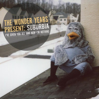 My Life As A Pigeon_The Wonder Years