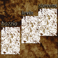 Crash_Bozzio Levin Stevens