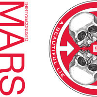 A Beautiful Lie_Thirty Seconds To Mars