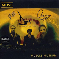 Do We Need This_Muse