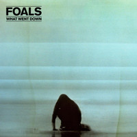 What Went Down_Foals
