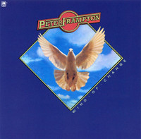 Its A Plain Shame_Peter Frampton