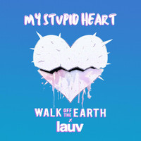My Stupid Heart