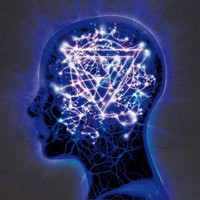 The Appeal And The Mindsweep I_Enter Shikari