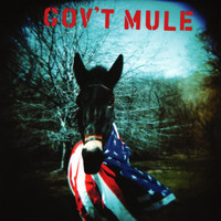 Mr Big_Gov't Mule