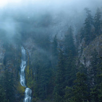 Face In A Night Time Mirror Part 1_Wolves in the Throne Room