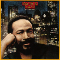 Sexual Healing_Marvin Gaye