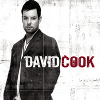 Lie_David Cook