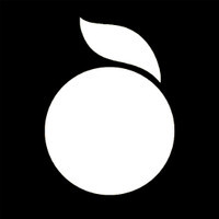 Kate Is A Star_Paul Gilbert