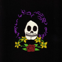 Automatic Fantastic_Brant Bjork