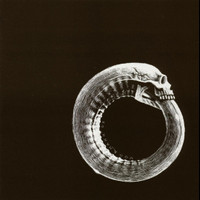 Fuck The World_Turbonegro