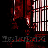 Rise_Bleeding Through