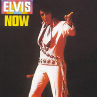 Until Its Time For You To Go_Elvis Presley
