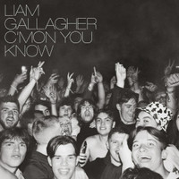 Too Good For Giving Up_Liam Gallagher