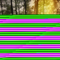 Giants_Storm the Sky