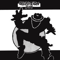 Healthy Body_Operation Ivy