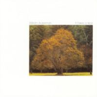 The Bricklayers Beautiful Daughter_William Ackerman