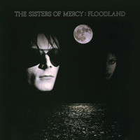 Driven Like The Snow_The Sisters of Mercy