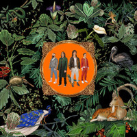 Gumshield_Don Broco