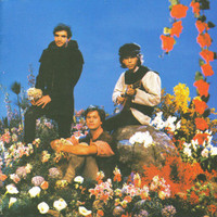 Vinte E Nove_Legião Urbana