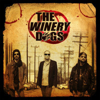 Desire_The Winery Dogs