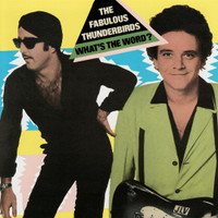 Extra Jimmies_The Fabulous Thunderbirds