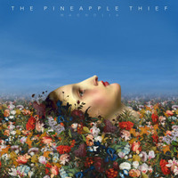 Alone At Sea_The Pineapple Thief