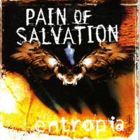 Winning A War_Pain of Salvation