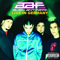 Bug Bytes_Alien Ant Farm
