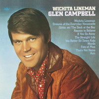 Dreams Of The Everyday Housewife_Glen Campbell