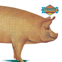 En Mi Coche_Hombres G