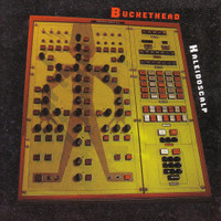 She Sells Sea Shells By The Slaughterhouse_Buckethead