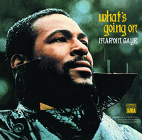 Whats Happening Brother_Marvin Gaye