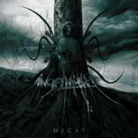 Decay_AngelMaker