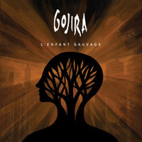 Born In Winter_Gojira
