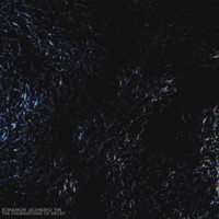 The Foundations Of Decay_My Chemical Romance