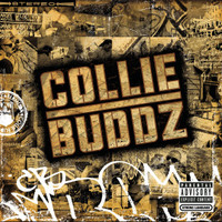 Blind To You_Collie Buddz