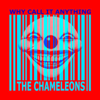 Dangerous Land_The Chameleons