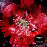 Sunsets Over Salt City_Blitz Kids