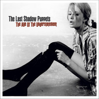 Black Plant_The Last Shadow Puppets
