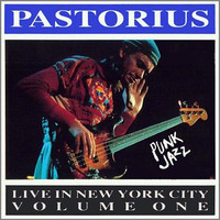 Punk Jazz_Jaco Pastorius