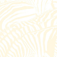 Silver Soul_Beach House