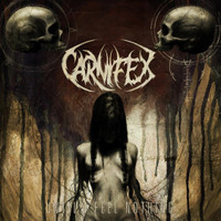 Until I Feel Nothing_Carnifex