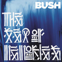 Baby Come Home_Bush