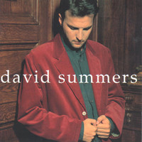 Todo Lo Que Puedo Decir_David Summers