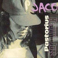 Reza_Jaco Pastorius